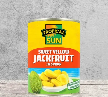 TROPICAL SUN YELLOW JACKFRUIT IN SYRUP 560G