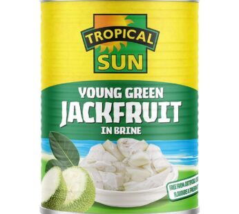 TROPICAL SUN YOUNG GREEN JACKFRUIT IN BRINE 560G
