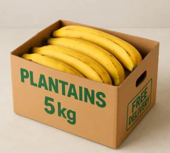 Box of Plantain